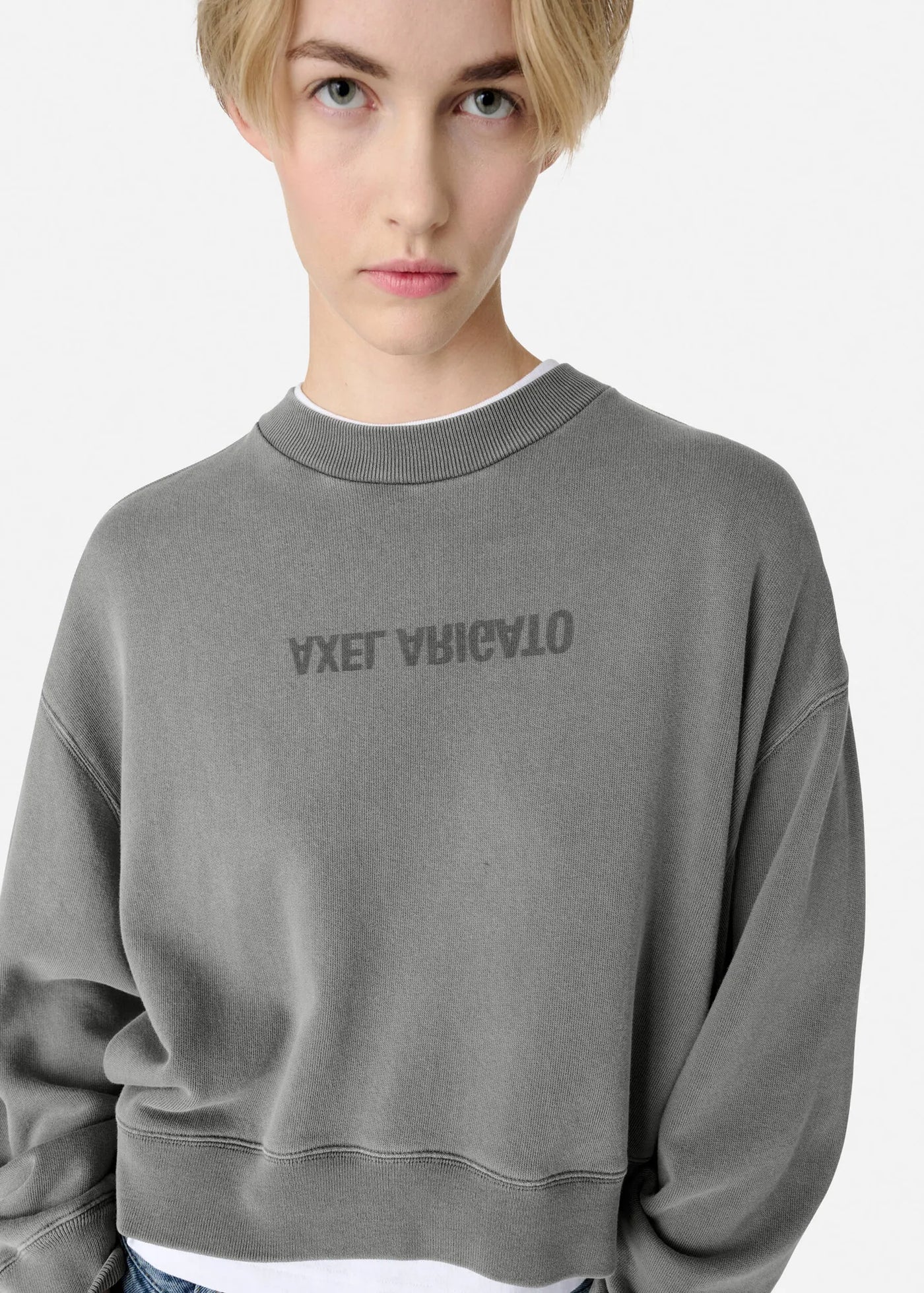 Axel Arigato - Sweatshirt - Steel Grey - Distort